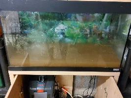 Time for a new project _emersed plants!