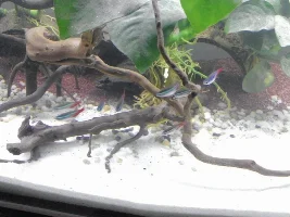 A 60Litre Named.. Aquapit..