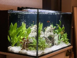 Help Setting up Fluval Aquasky LED Lights 24-Hour Cycle.