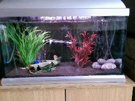New Fish Tank And Keeper