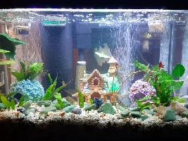 I would like to introduce myself!