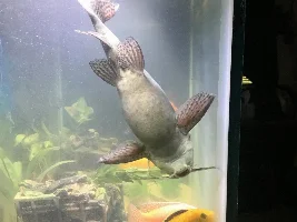 Favorite Fish Photos