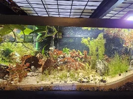 Fish room