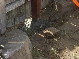 Pond Building and Growout