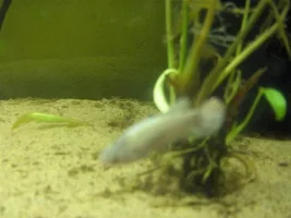 They're Here!
