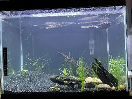 18 Gallon Re-scape Project