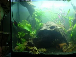 Finally tearing down ugly 57g, building new 36g to replace it!