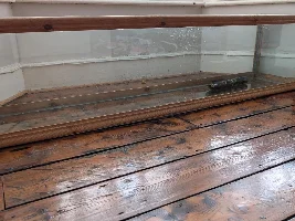 New tank set up