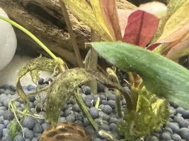 Hello all!