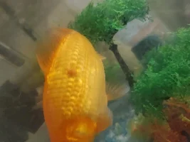 Does anyone know what this is?