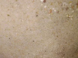 15 Gallon Suggestions
