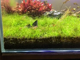 Zikofski new tank 110L / 24G