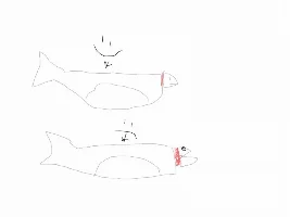SUDDEN  DISLOCATION?OPEN MOUTH GUPPY, please help