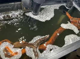 Is this normal?