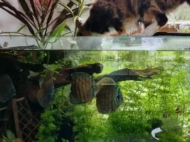 Iti and her love for TFF and all things fish