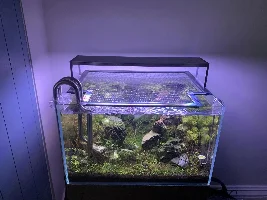 D+D Jump Guard - a lesson hard learned