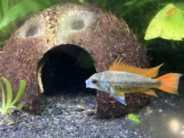 A New Addition