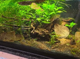 A few random pictures from the past week or so