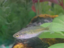 My 32 Gallon