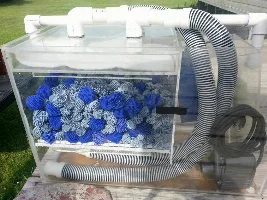 Going From A Power Filter To A Canister, With Fish