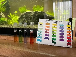 Confirmation of my thoughts and research for my first tank.