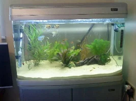 3ft Fish Tank