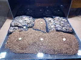 70l Dennerle aquarium