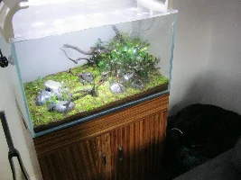"Shattered Tree" - 140 ltr Opti-white