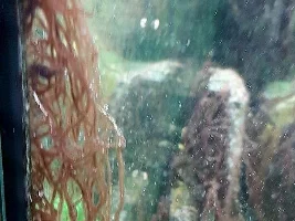 Algae ID - if it is Algae