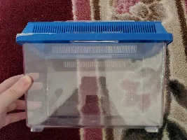 Betta fish resting more than normal?