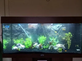 How Many Cories In My 180 Litre Tank?