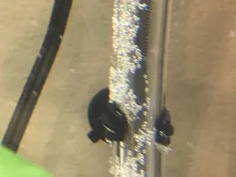 Purple Harlequin Rasbora eggs?