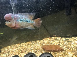 New to the forum.