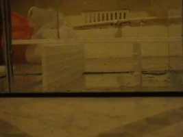 Small Journal On The Topless Transition