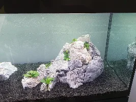 Keeping a Tank Clean