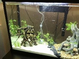 Set-up complete