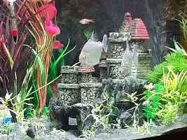 New member, new tank.