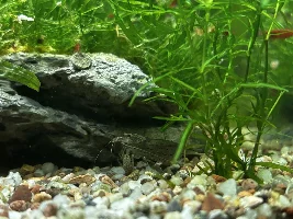 My 60L Cube
