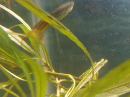 I need help. What's going on?