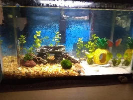 Well water suggestions