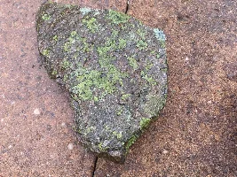 Are these rocks safe?