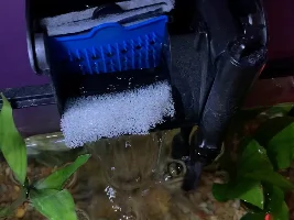 Need betta help