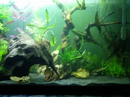 Finally tearing down ugly 57g, building new 36g to replace it!