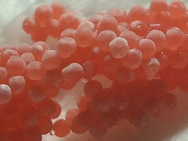 What species of apple snail?