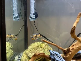 New 55 gallon journal