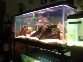 Some Old Fish And Some New Fish....