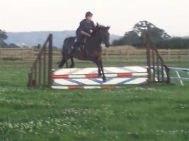 Took Charlie Jumping Today...