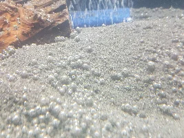 Air bubbles on new set up, on my substrate