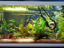 15g first occupants!