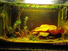 My (very) low-cost 7.92 gallons tank